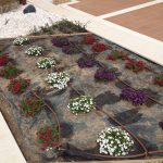 NEW PLANT BED